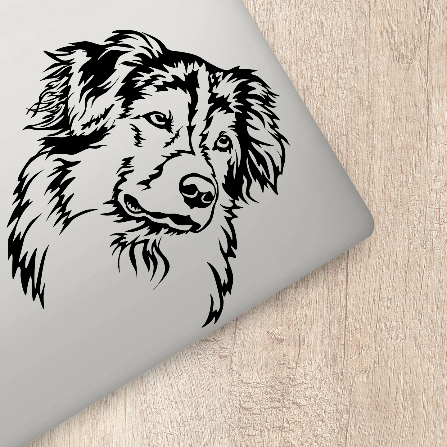 Australian Shepherd Sticker