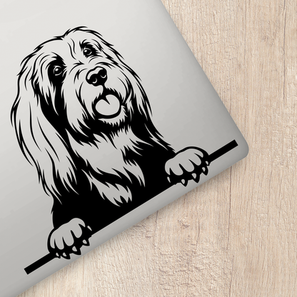 Bearded Collie Sticker