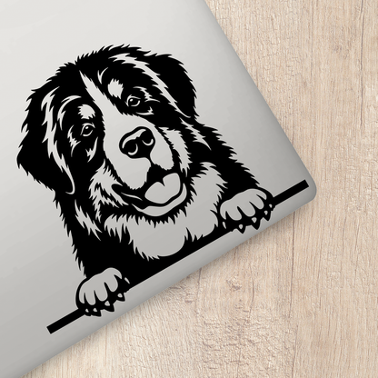 Bernese Mountain Dog Sticker