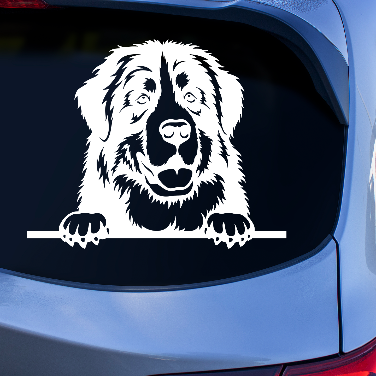 Bernese Mountain Dog Sticker