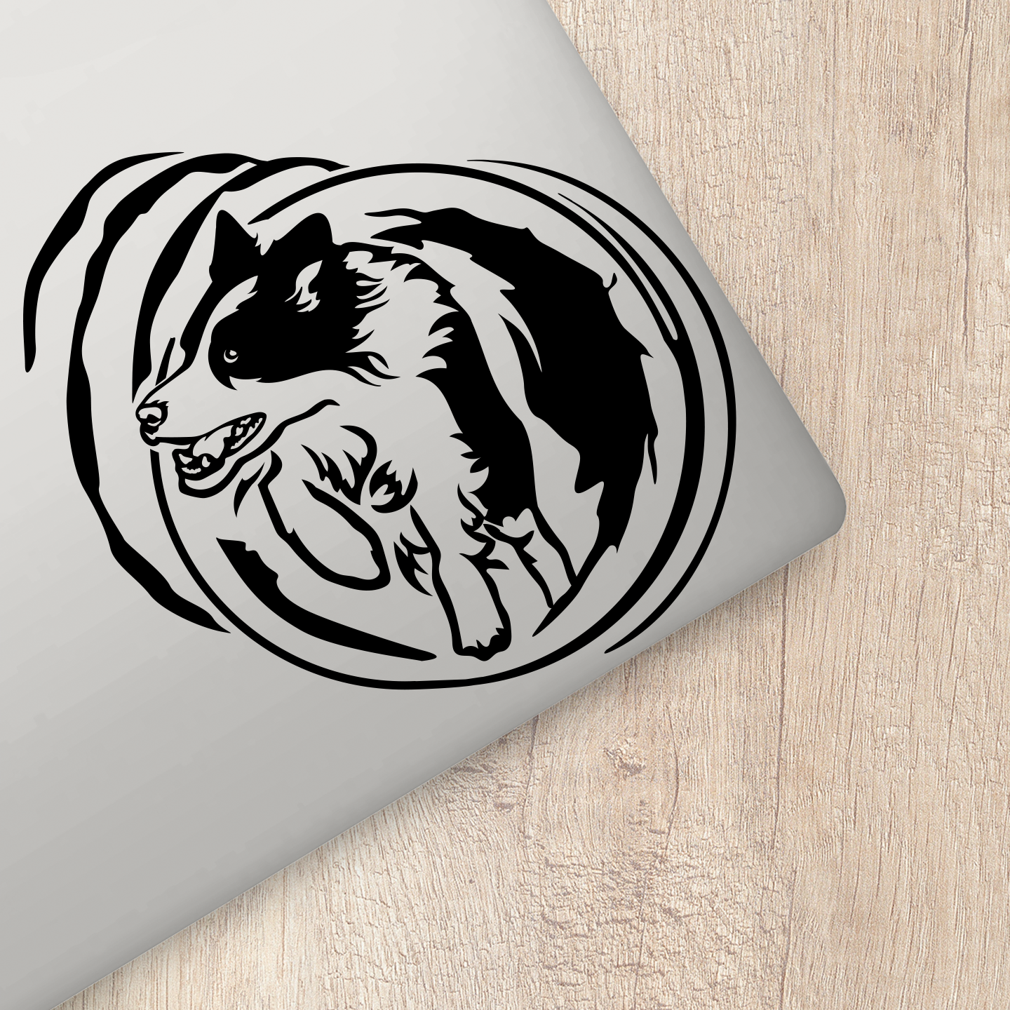 Border Collie In Agility Tunnel Sticker
