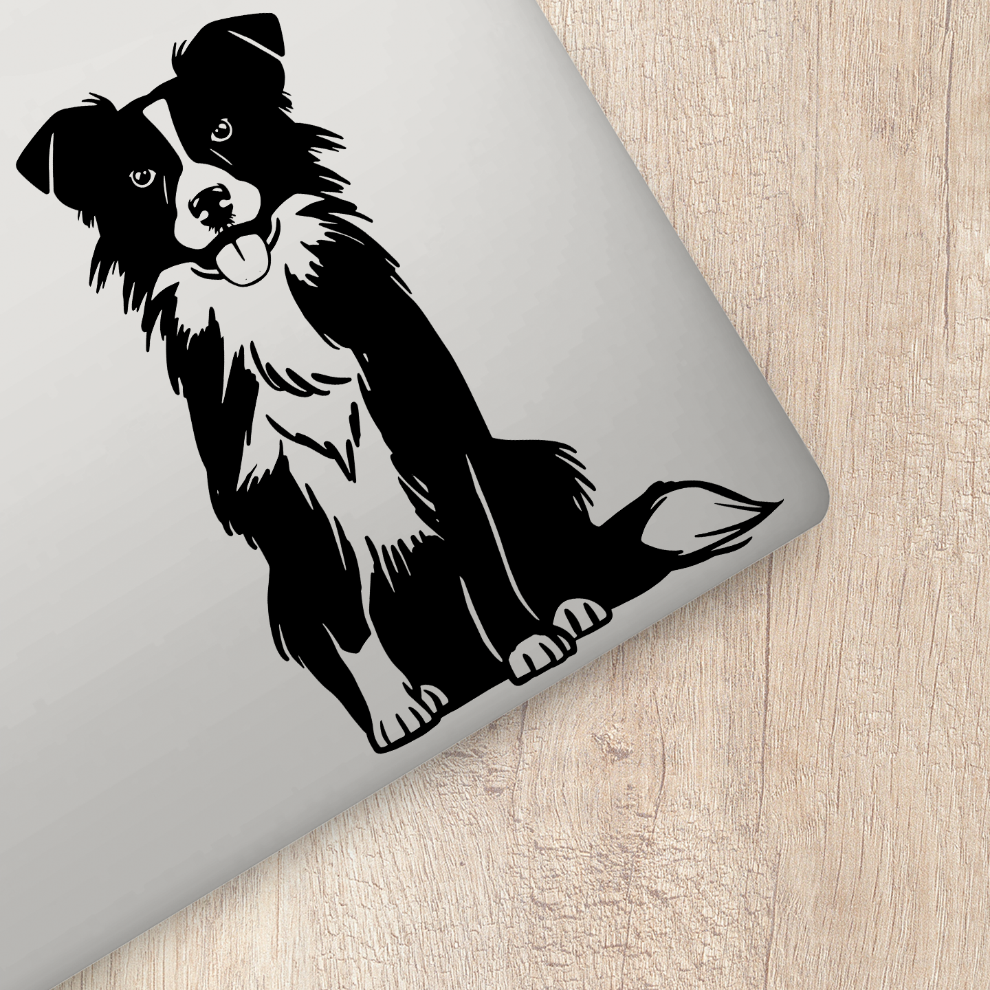 Border Collie Sitting Sticker