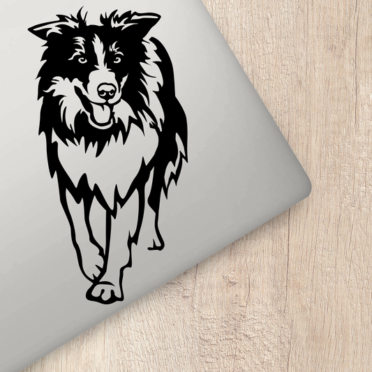 Border Collie Sticker