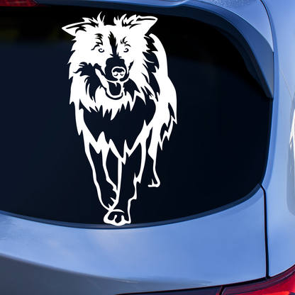 Border Collie Sticker