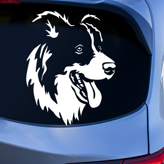 Border Collie Sticker