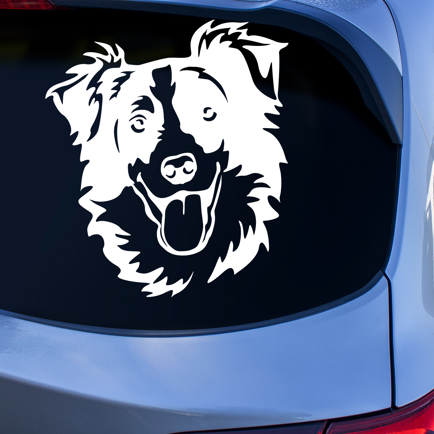 Border Collie Sticker