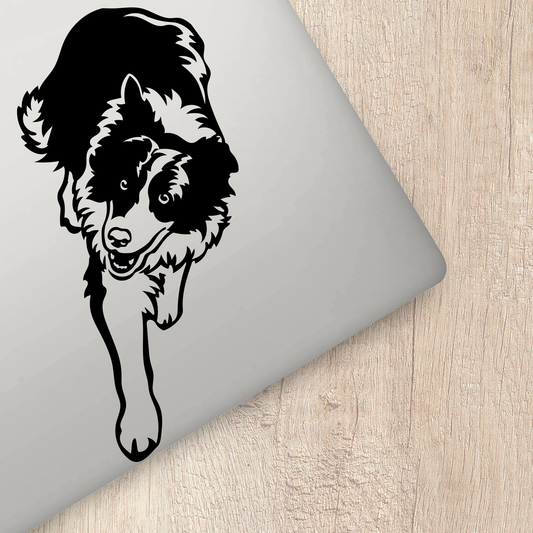 Border Collie Sticker