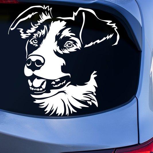 Border Collie Sticker