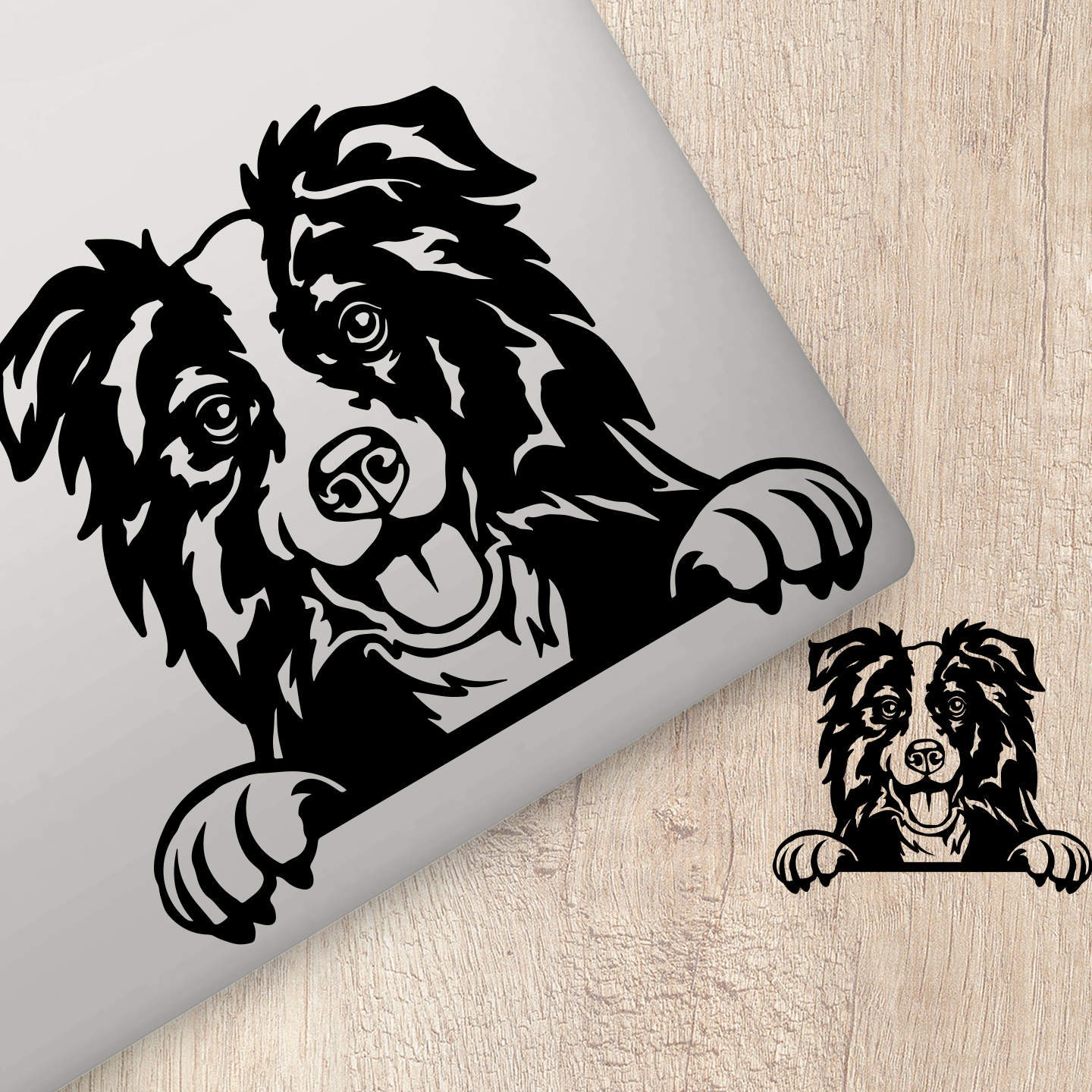 Border Collie Sticker