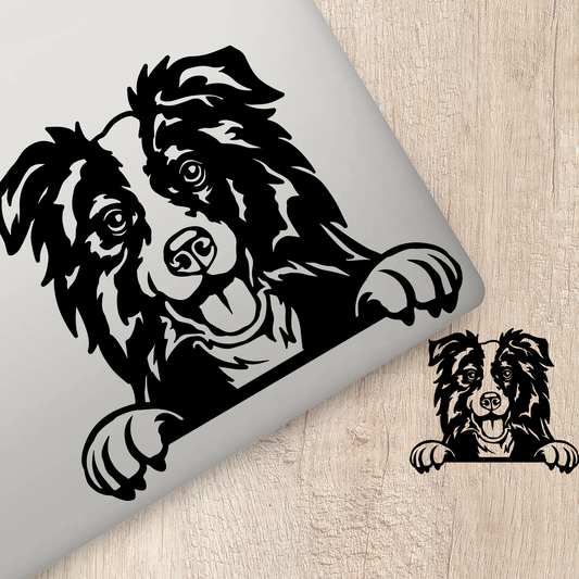 Border Collie Sticker