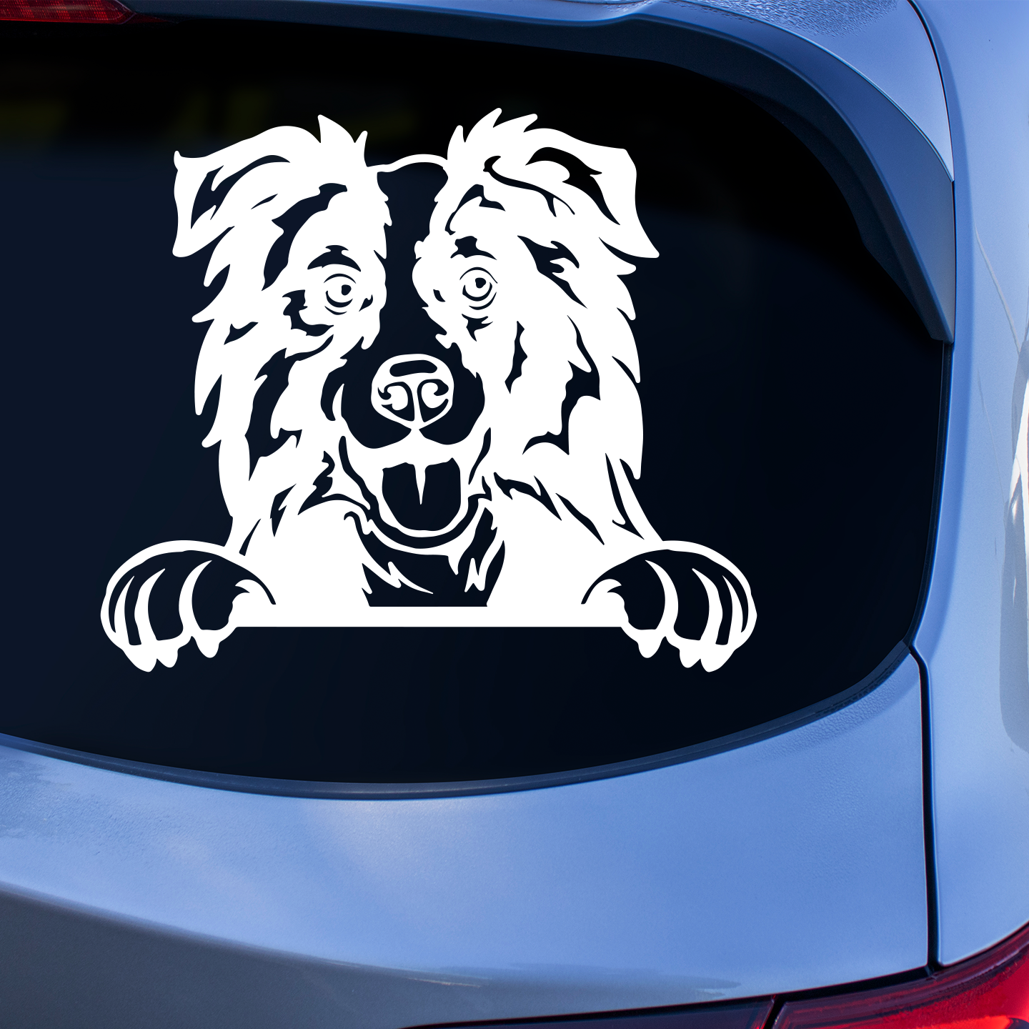 Border Collie Sticker