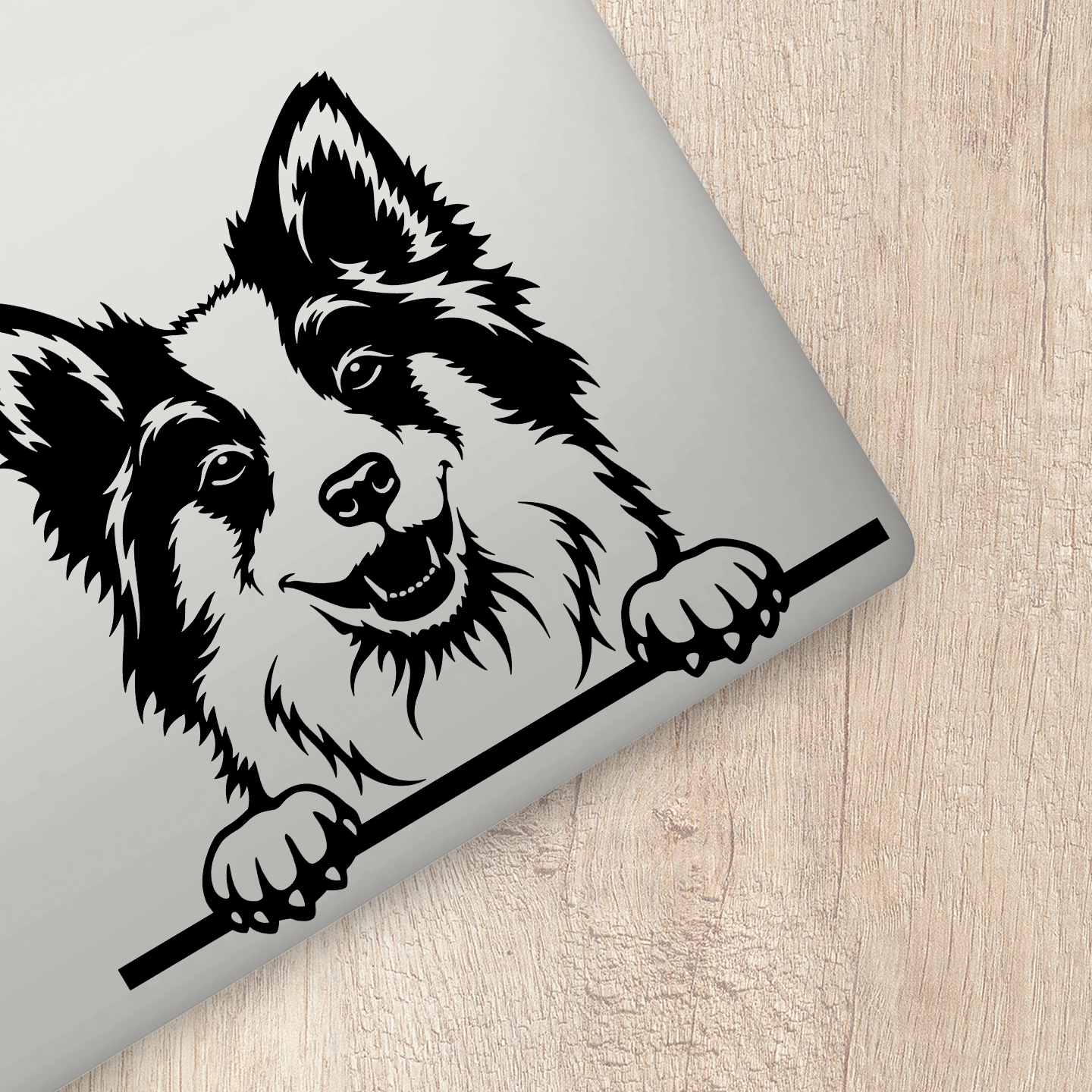 Border Collie Sticker