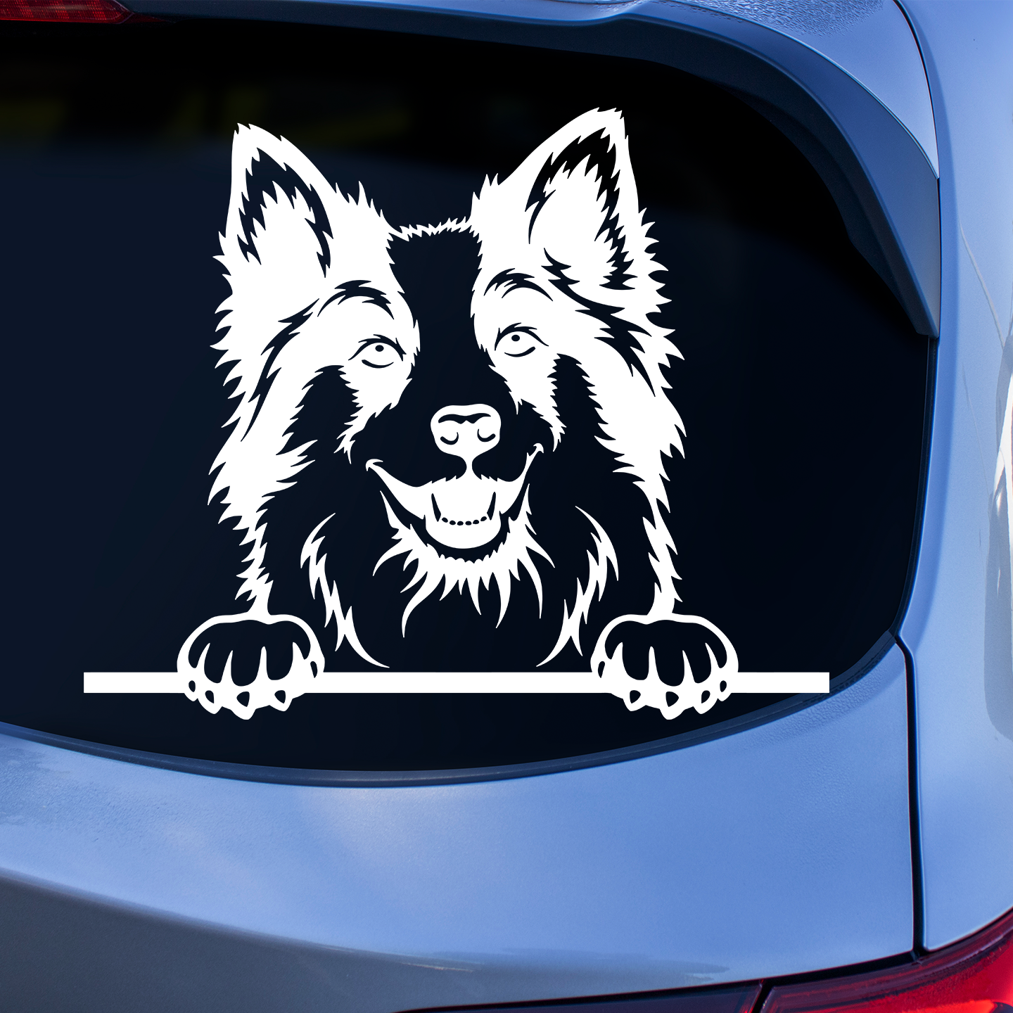 Border Collie Sticker