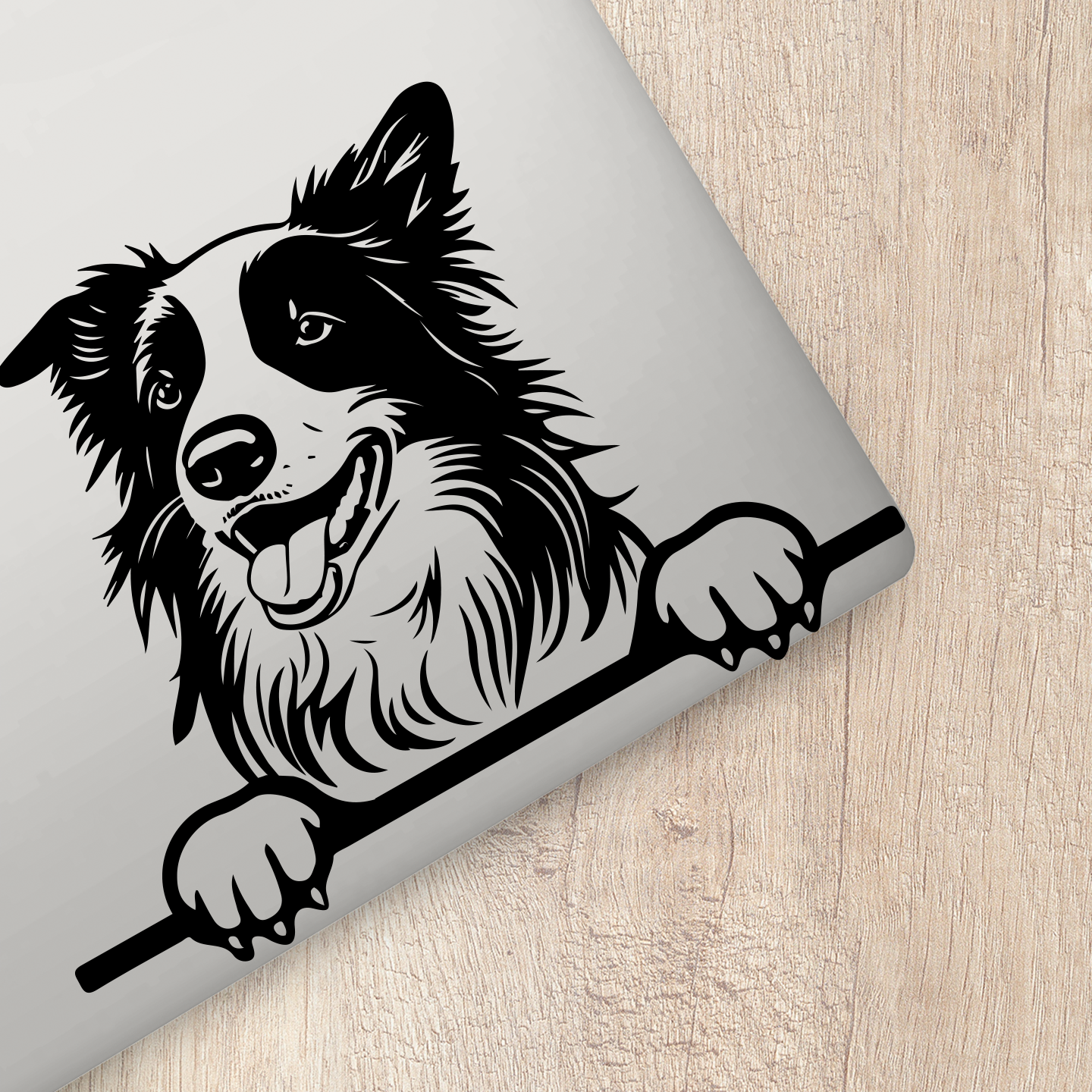 Border Collie Sticker