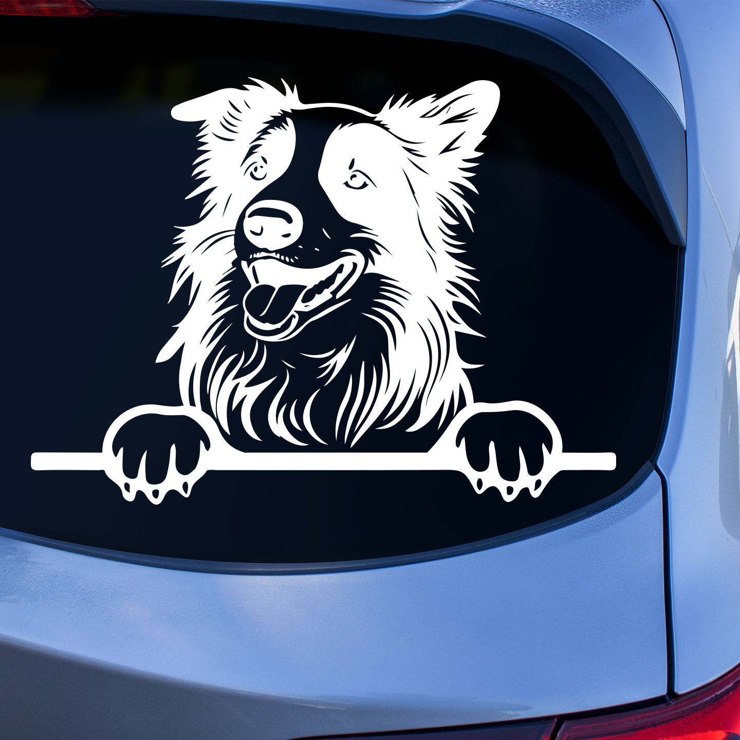 Border Collie Sticker