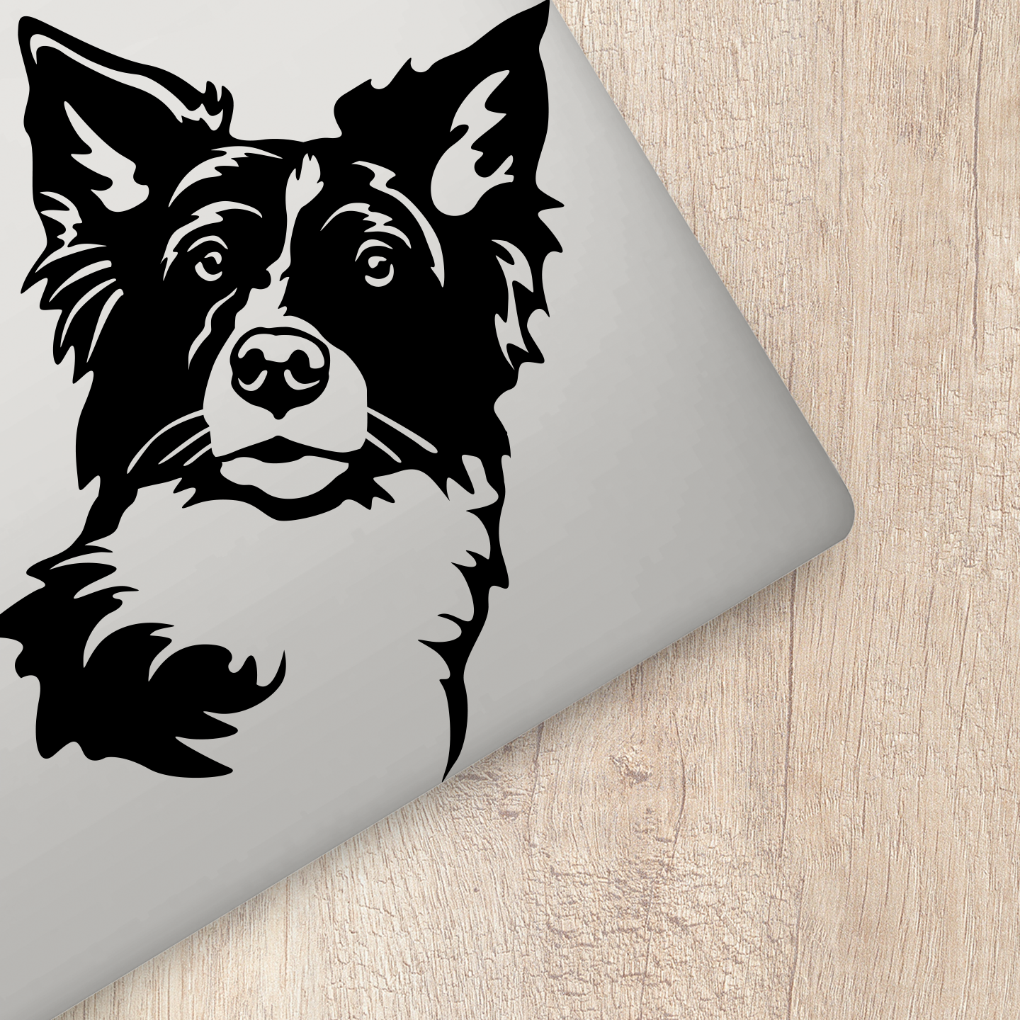 Border Collie Sticker