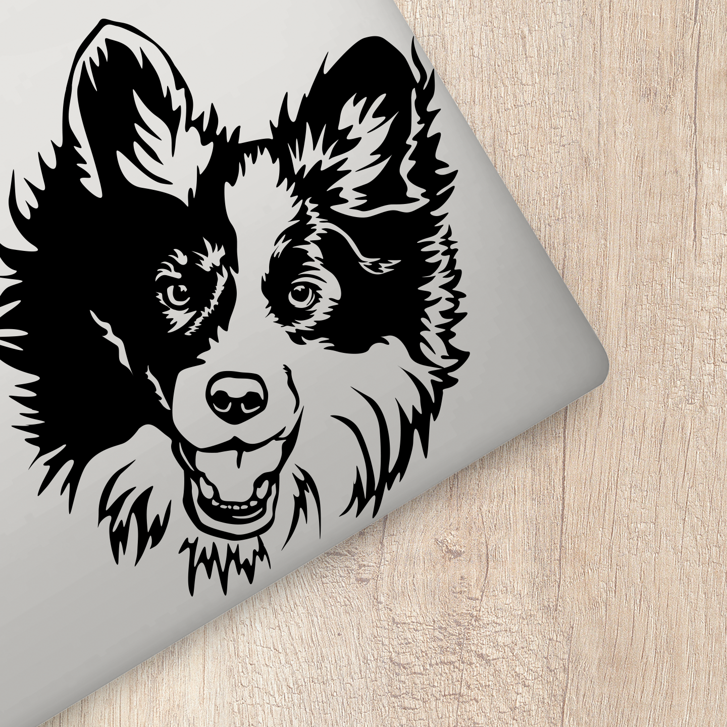 Border Collie Sticker