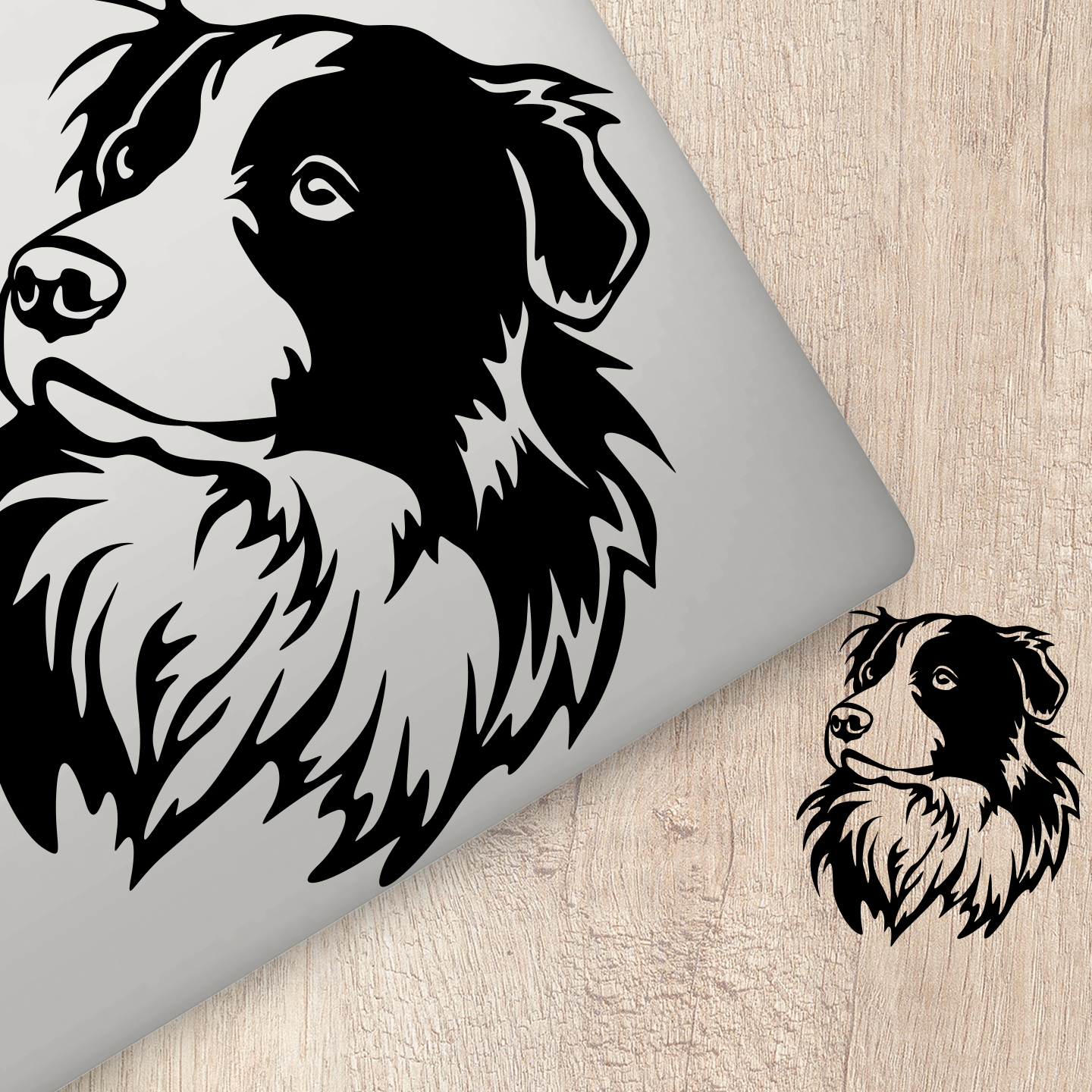 Border Collie Sticker