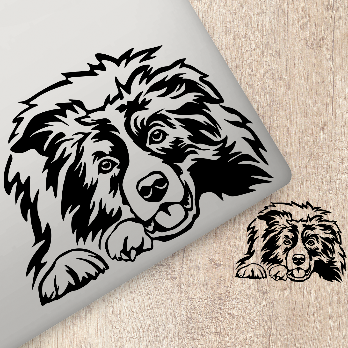 Border Collie Sticker