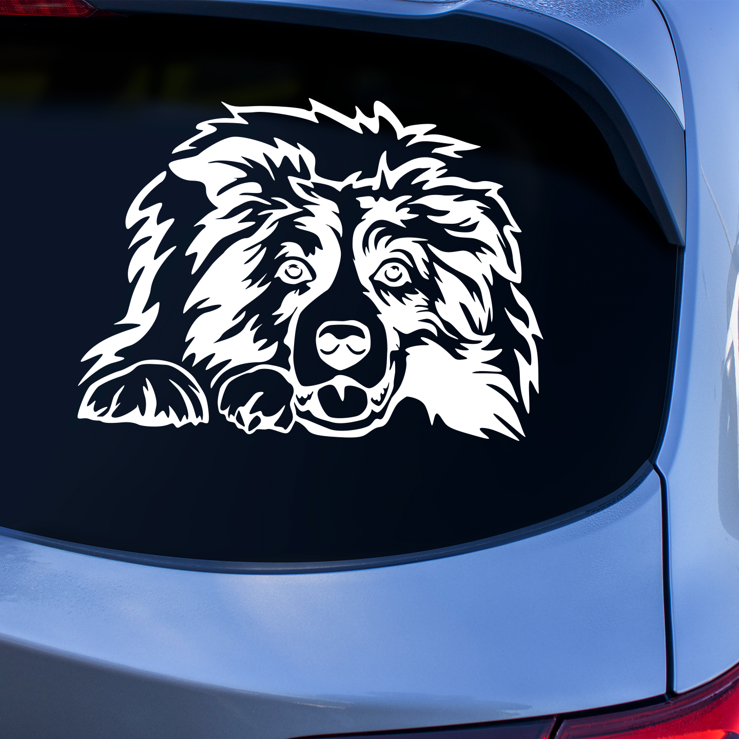 Border Collie Sticker