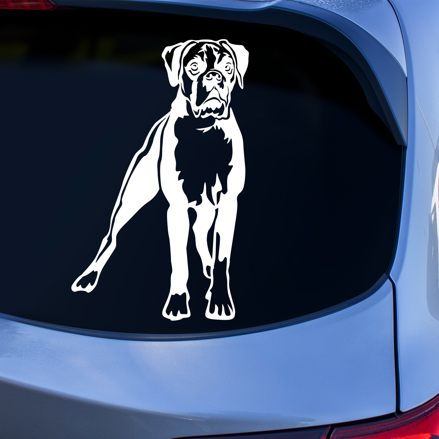 Boxer Sticker