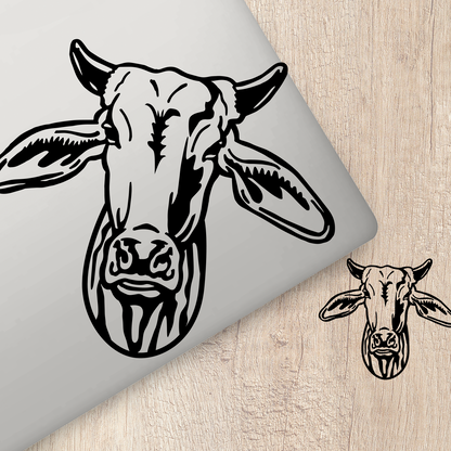 Brahman Cattle Sticker