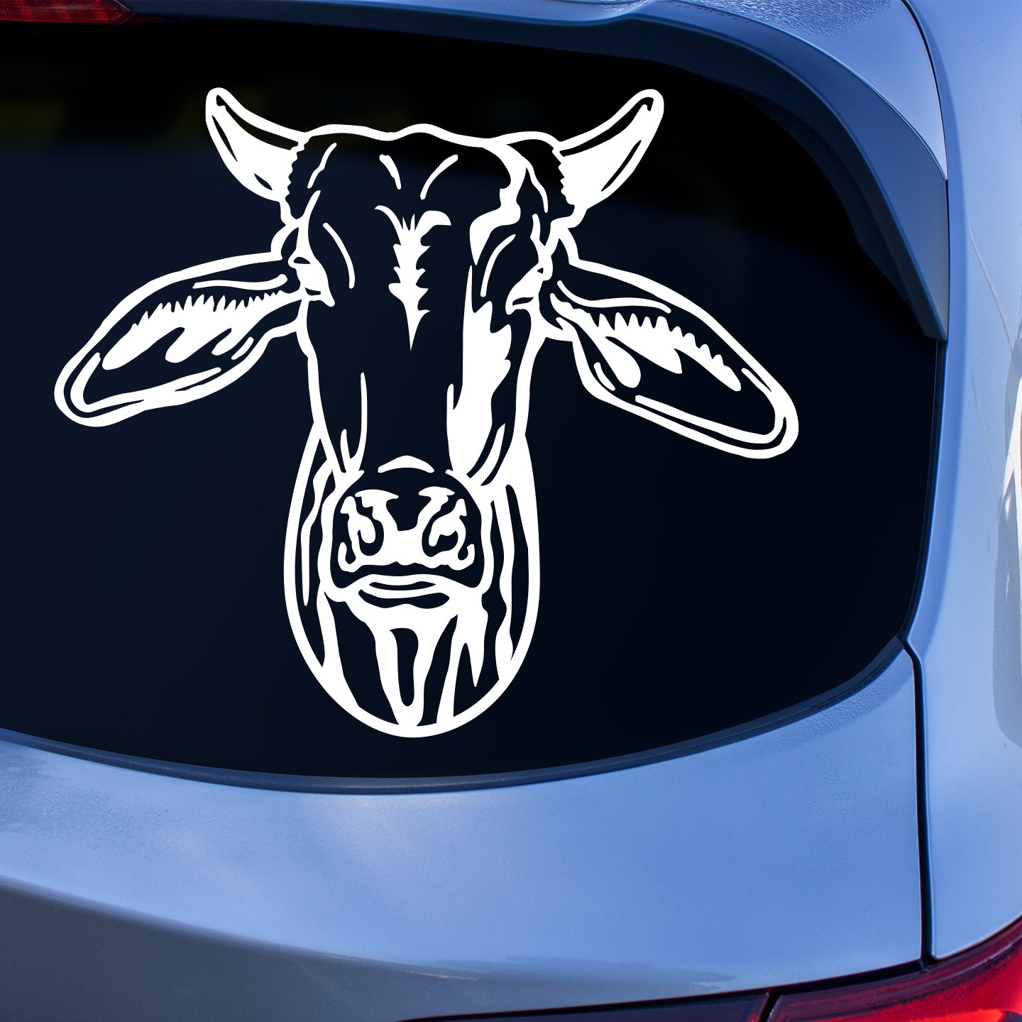 Brahman Cattle Sticker