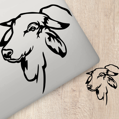 Brahman Cattle Sticker