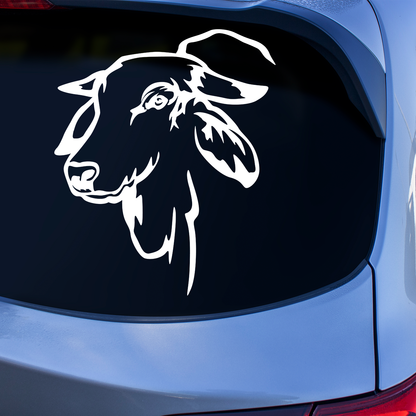 Brahman Cattle Sticker