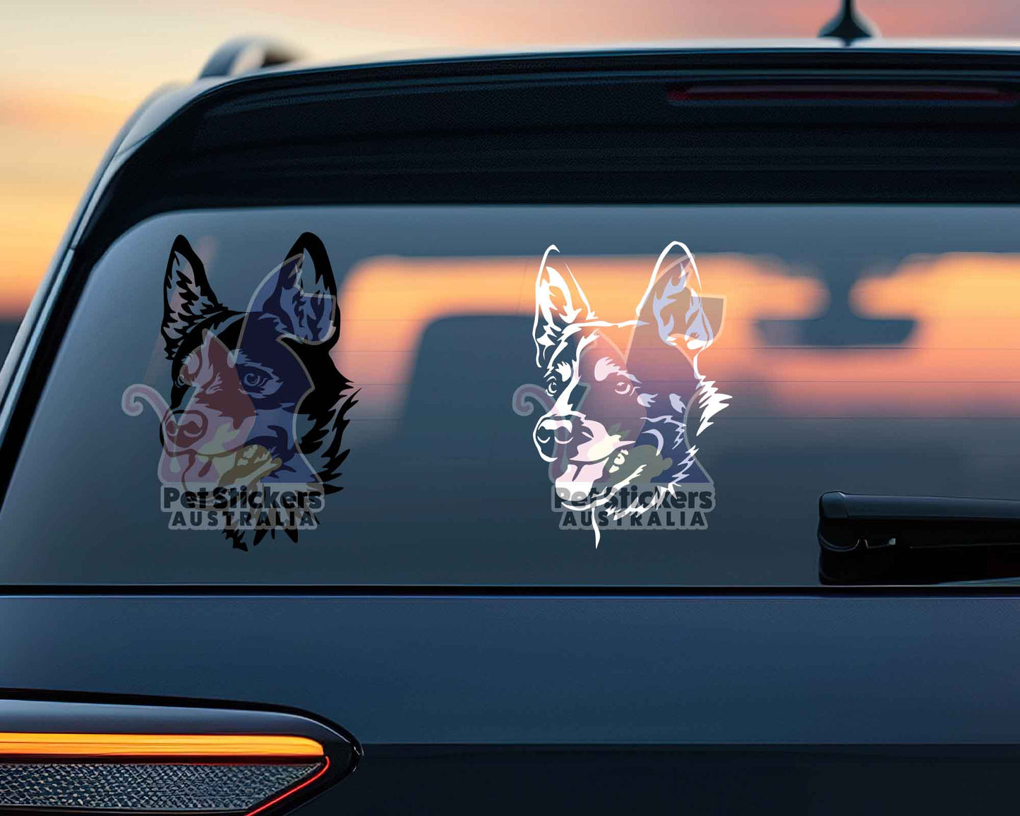 Cattle Dog Sticker