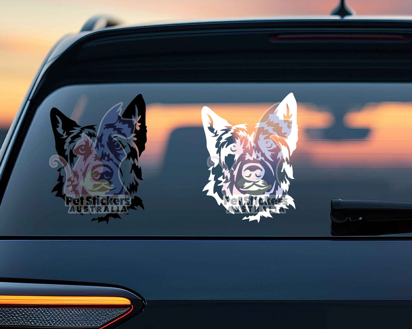 Cattle Dog Sticker