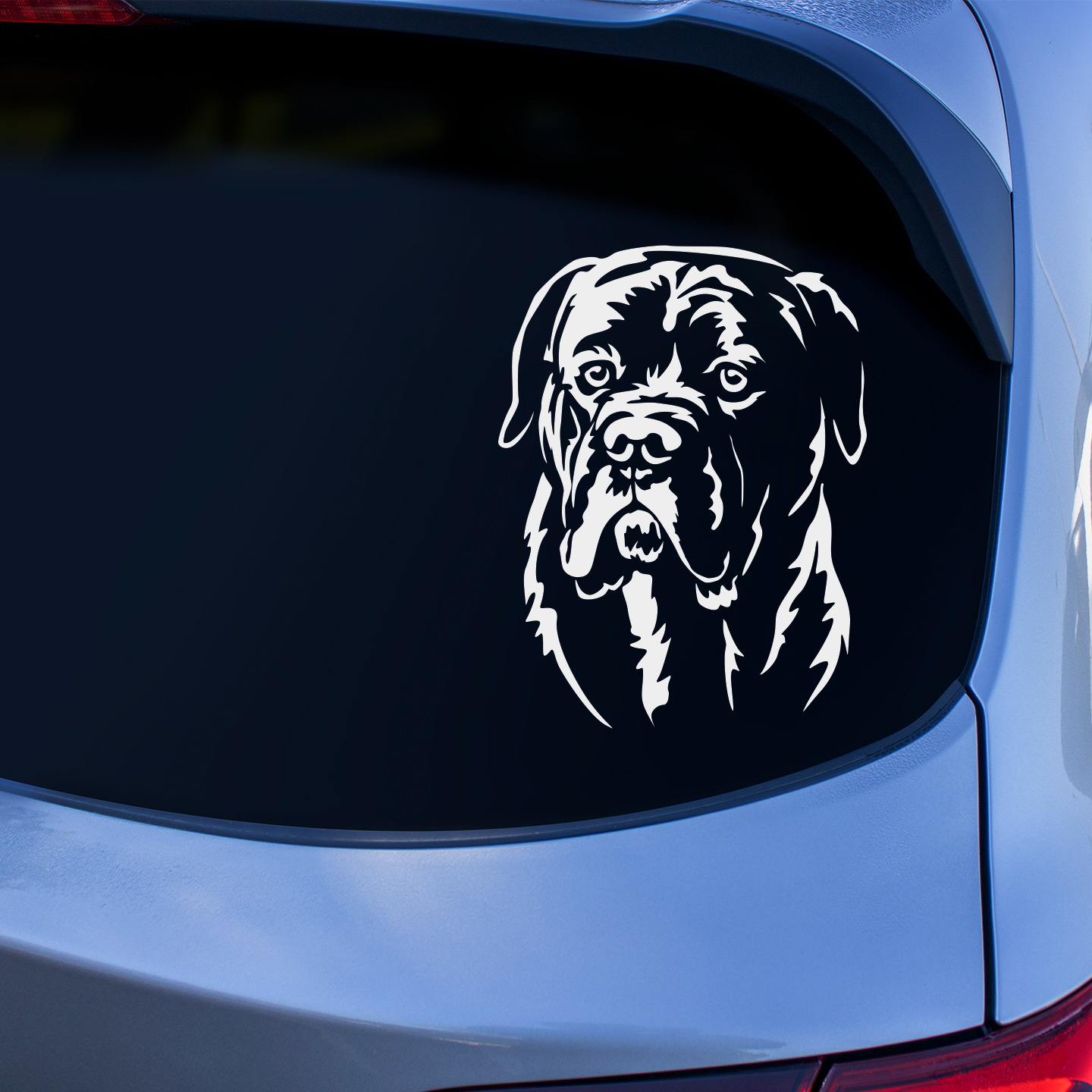 Cane Corso Sticker