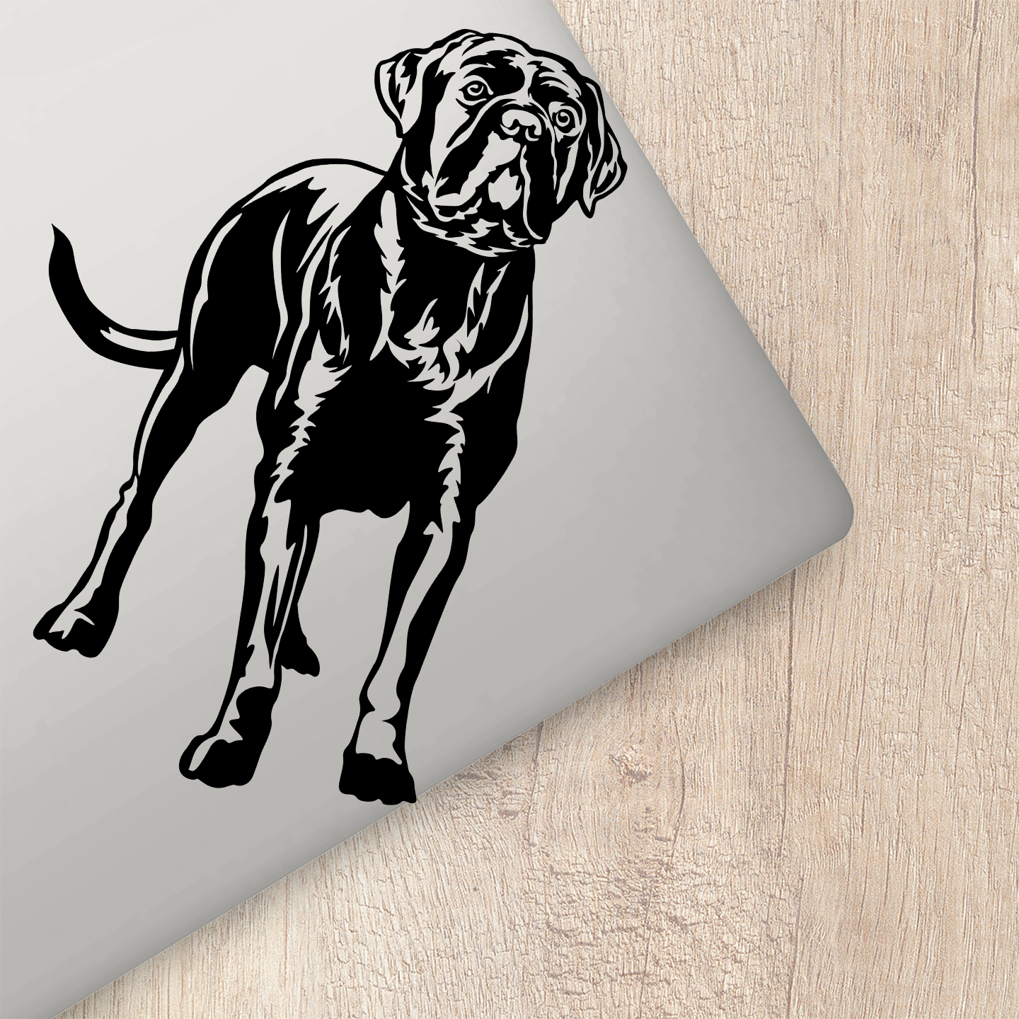 Cane Corso Sticker