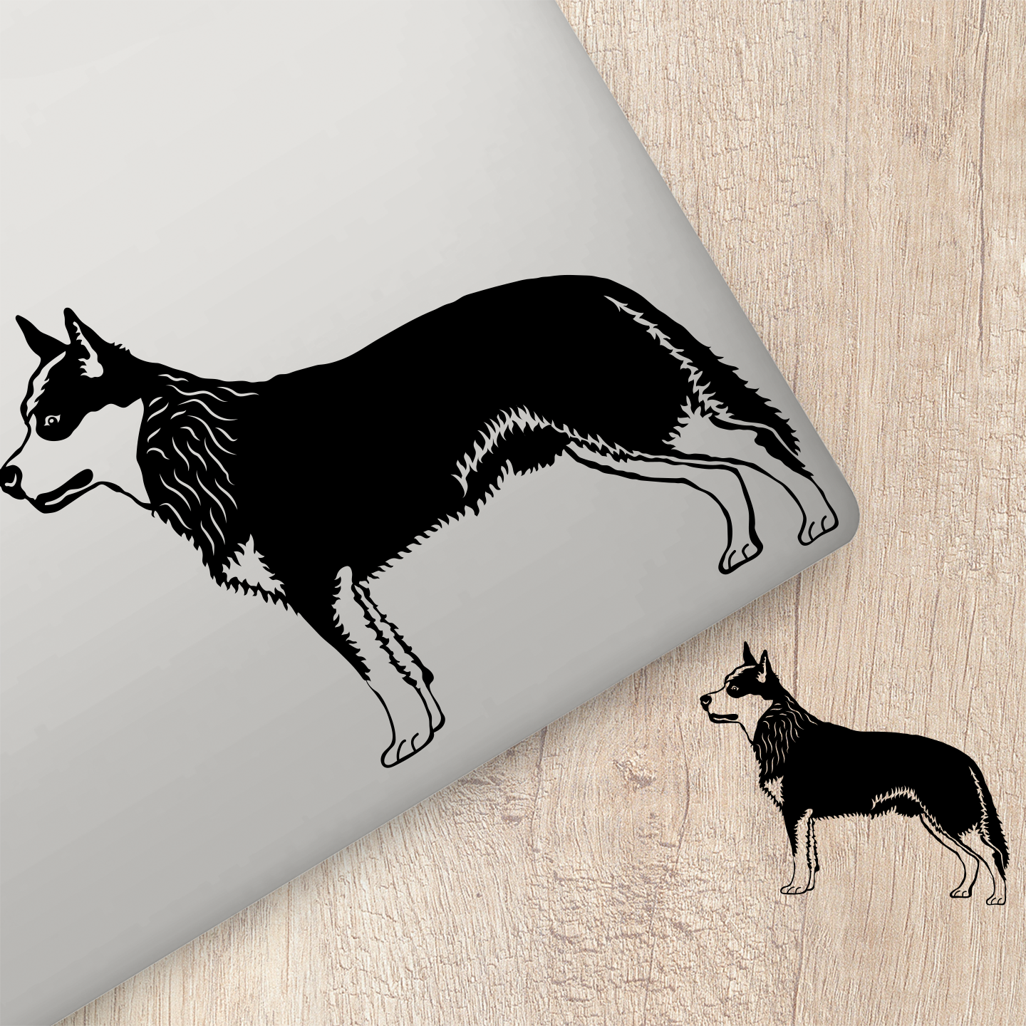 Cattle Dog Sticker