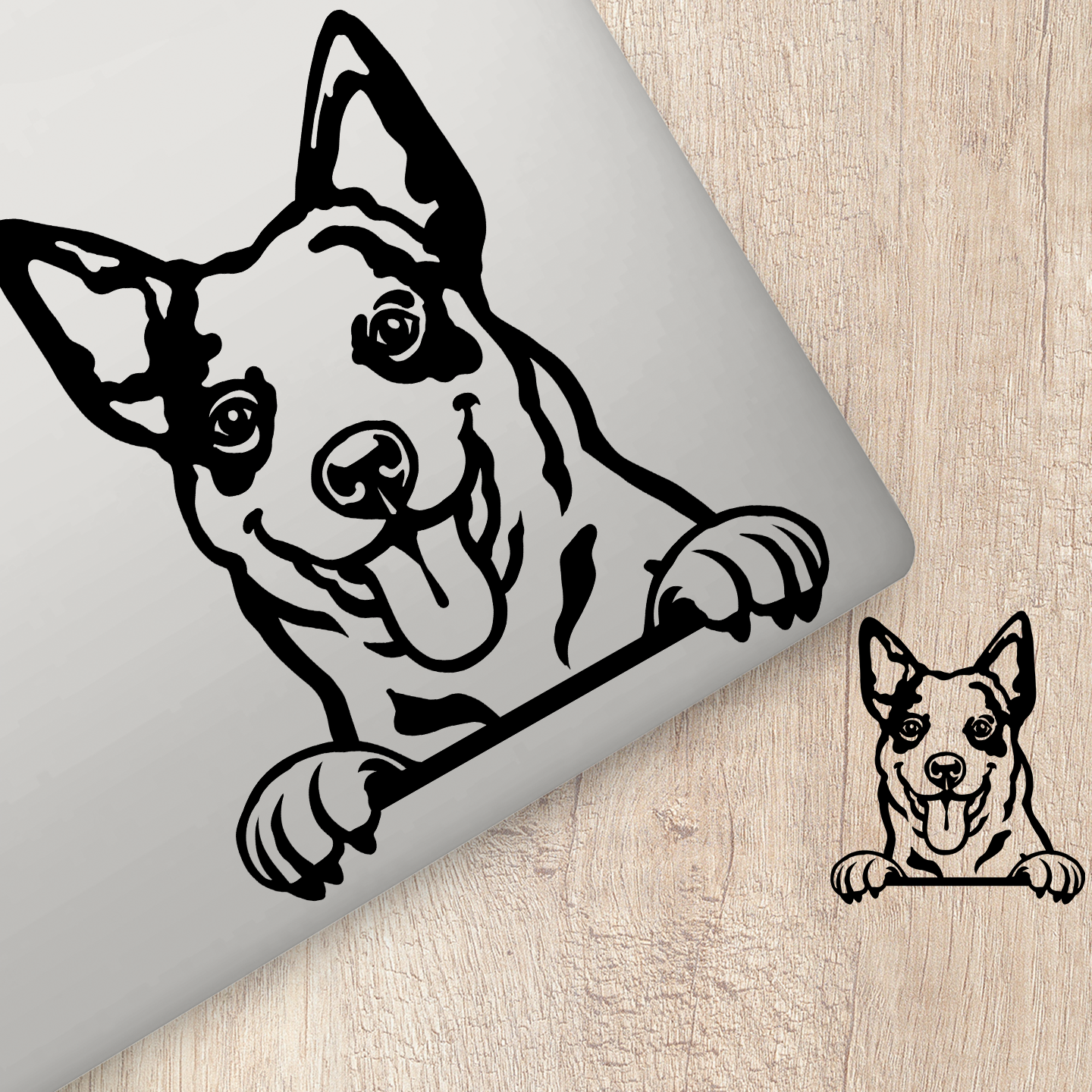 Cattle Dog Sticker