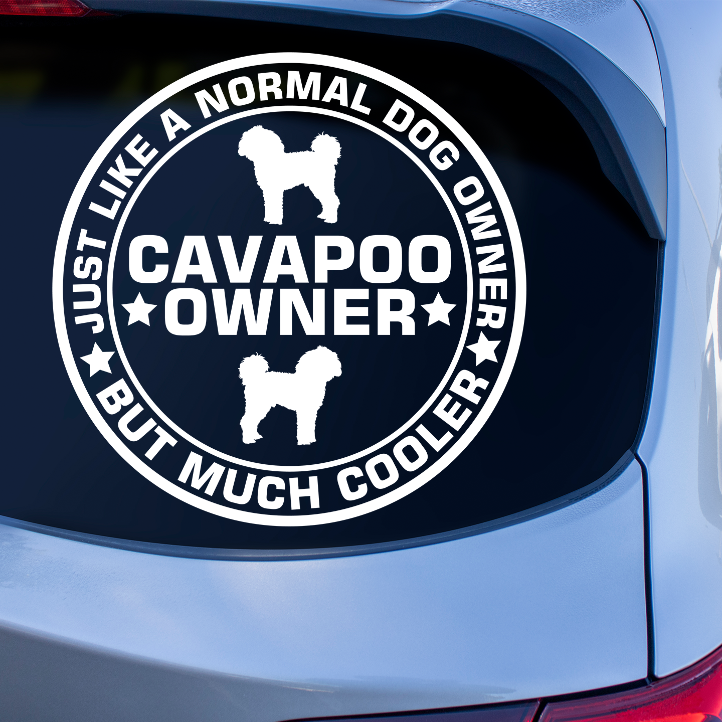 Cavapoo Owner Sticker | Dog Stickers For Cars Australia – Pet Stickers ...