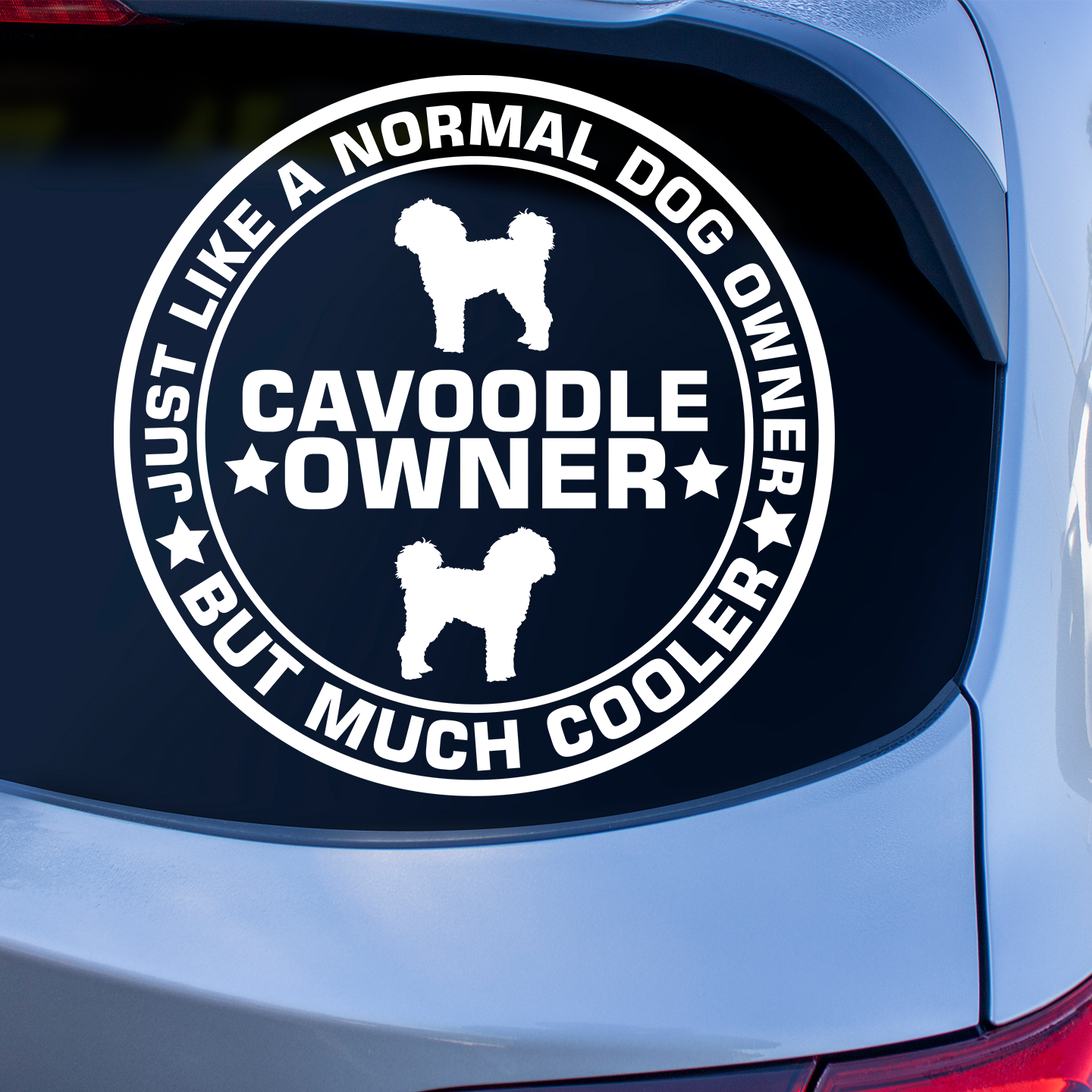 Cavoodle Owner Sticker