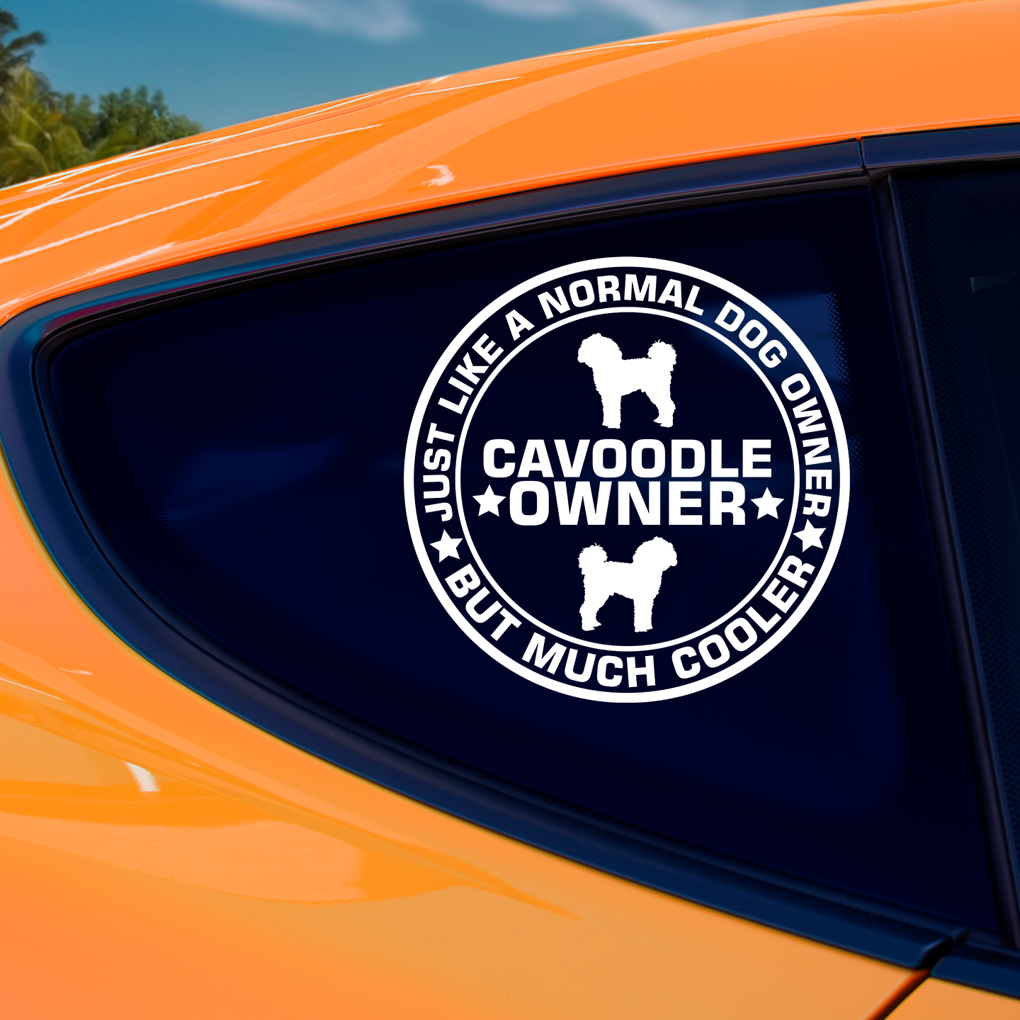 Cavoodle Owner Sticker