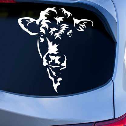 Charolais Cow Sticker