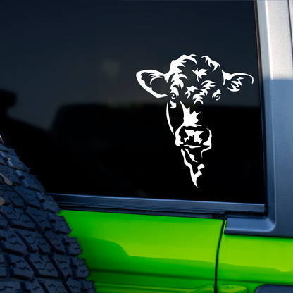 Charolais Cow Sticker