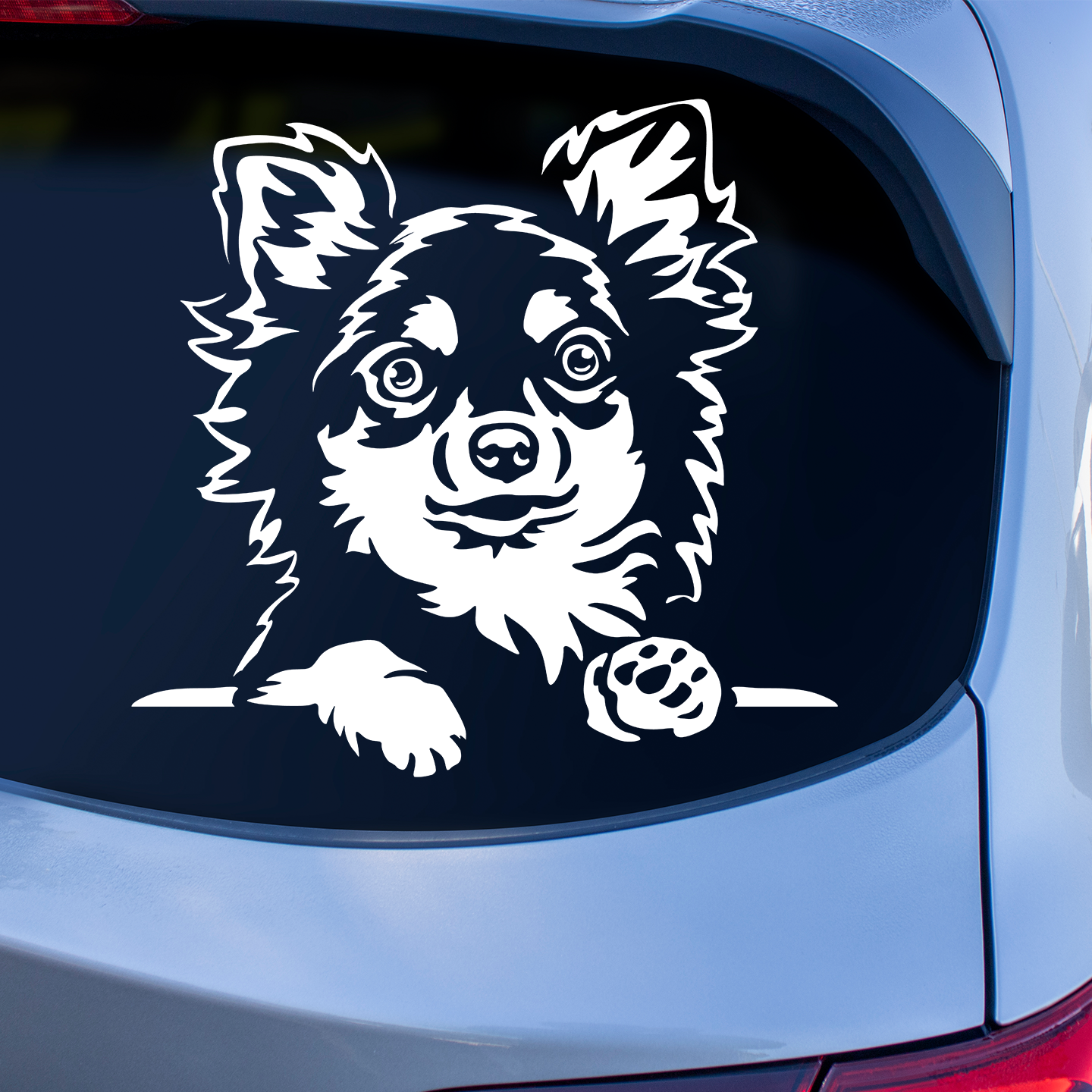 Chihuahua Peeping Sticker