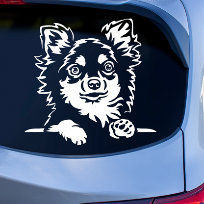 Chihuahua Peeping Sticker