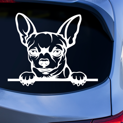 Chihuahua Sticker