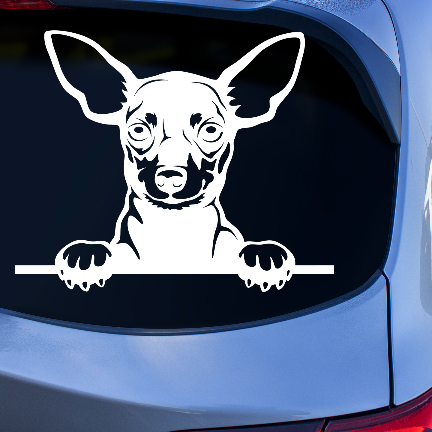 Chihuahua Sticker