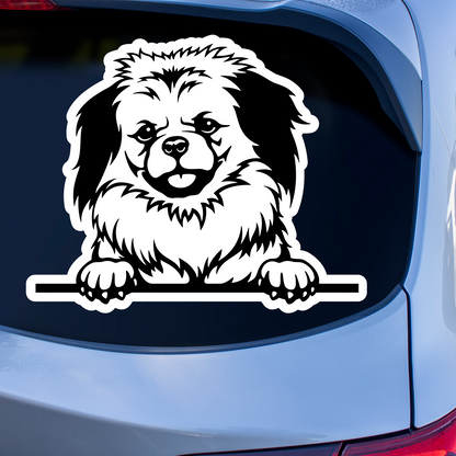 Tibetan Spaniel Sticker