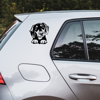 Dachshund Peeping Sticker