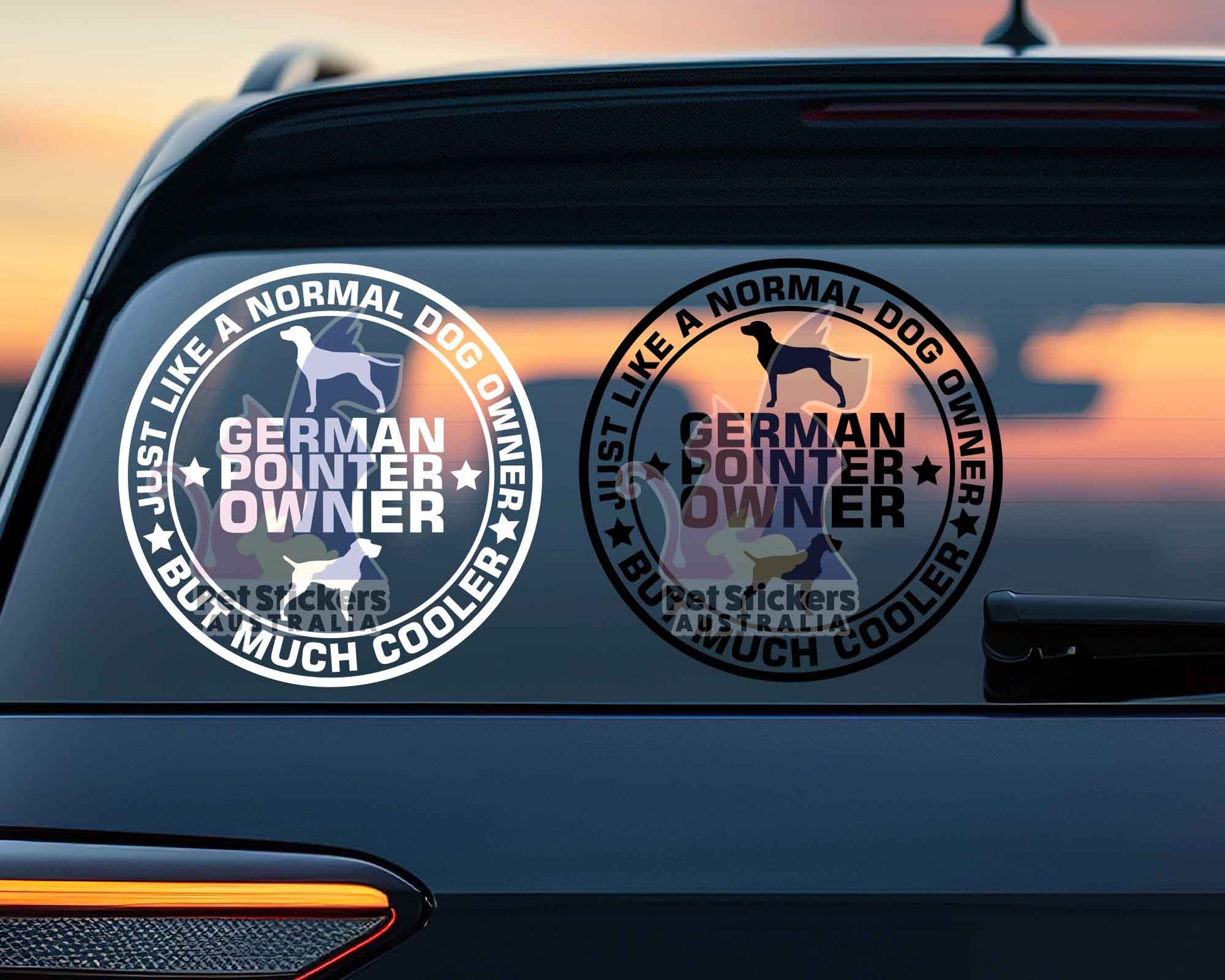 German Pointer Owner But Cooler Sticker