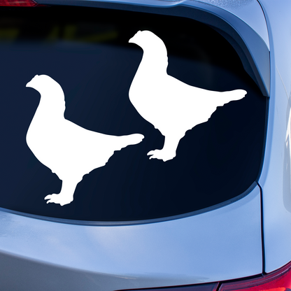 Indian Game Chicken Stickers