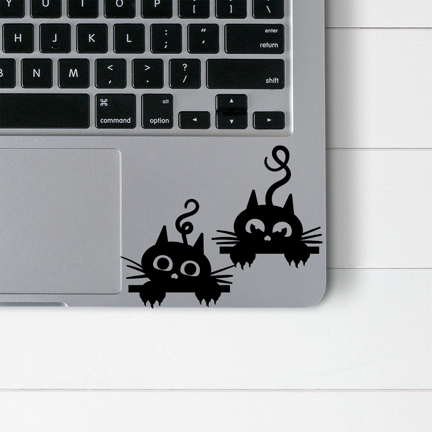 Sneaky Cats Stickers