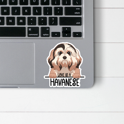 Love Is A Havanese Sticker